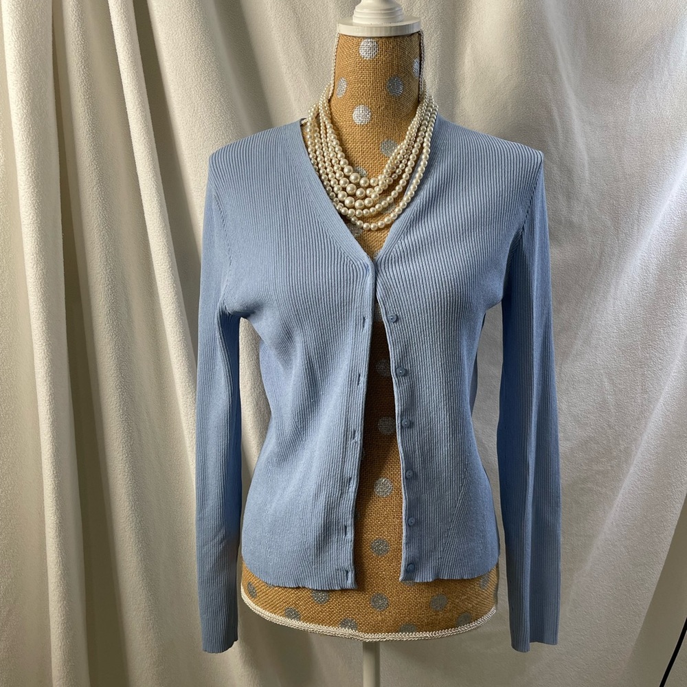 Anne Taylor blue sweater